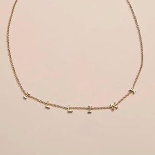University of Illinois “Illini” initial necklace